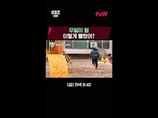 テレビでストリーミング:時空間超越実火追跡劇〈アパート404〉 ☑ [金] 夕方 8:40 tvN #ユ・ジェソク_  #チャ・テヒョン_  #オ・ナラ_  #