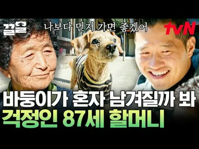 テレビでストリーミング: #tvN #孤独な訓練士tvN レジェンドバラエティ引き上げ～アップ↗↗ #テレビでストリーミング