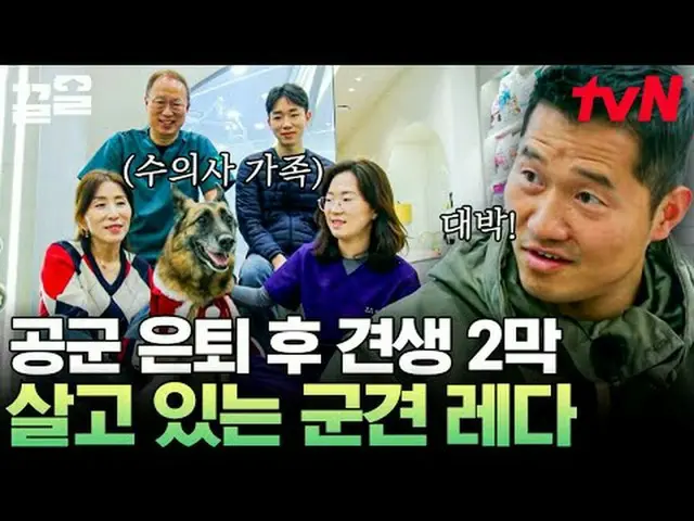 テレビでストリーミング: #tvN #孤独な訓練士tvN レジェンドバラエティ引き上げ～アップ↗↗ #テレビでストリーミング