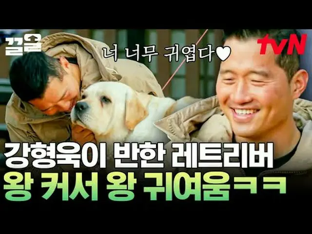 テレビでストリーミング: #tvN #孤独な訓練士tvN レジェンドバラエティ引き上げ～アップ↗↗ #テレビでストリーミング