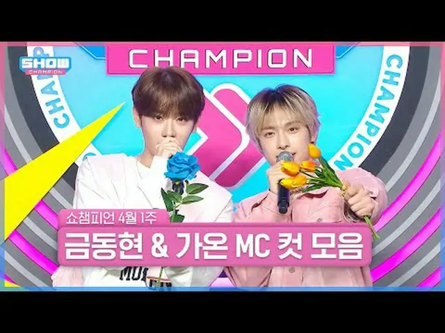 花見見にSHOW CHAMPION_で遊びに来てください～🌸 4月1週目＜キム・ドンヒョン＆ガオン＞ SHOW CHAMPION_ MCカットコレクション📁