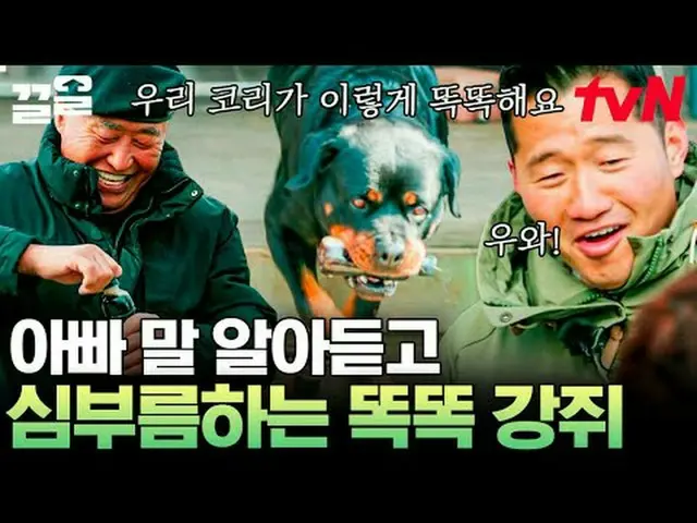 テレビでストリーミング: #tvN #孤独な訓練士tvN レジェンドバラエティ引き上げ～アップ↗↗ #テレビでストリーミング