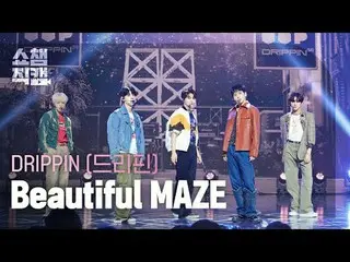 DRIPPIN_ _  - Beautiful MAZE (DRIPPIN_  - 美容フルメイズ) #SHOW CHAMPION_ ピオン #DRIPPIN_