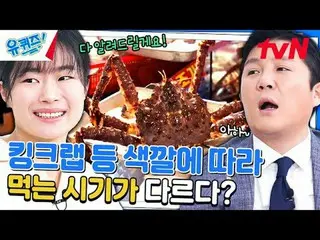 テレビでストリーミング: #ユクイズ #ユ・ジェソク_  #チョ・セホユキスオンダーブロック YOU QUIZ ON THE BLOCK EP.239  #私た