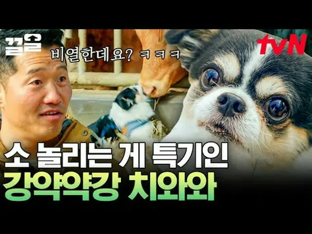 テレビでストリーミング: #tvN #孤独な訓練士tvN レジェンドバラエティ引き上げ～アップ↗↗ #テレビでストリーミング