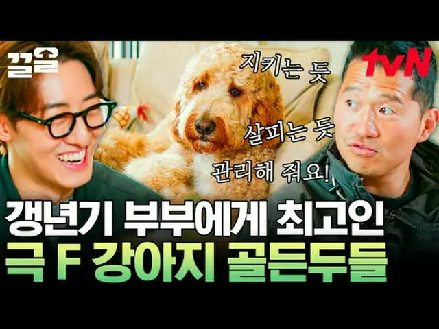 テレビでストリーミング: #tvN #孤独な訓練士tvN レジェンドバラエティ引き上げ～アップ↗↗ #テレビでストリーミング