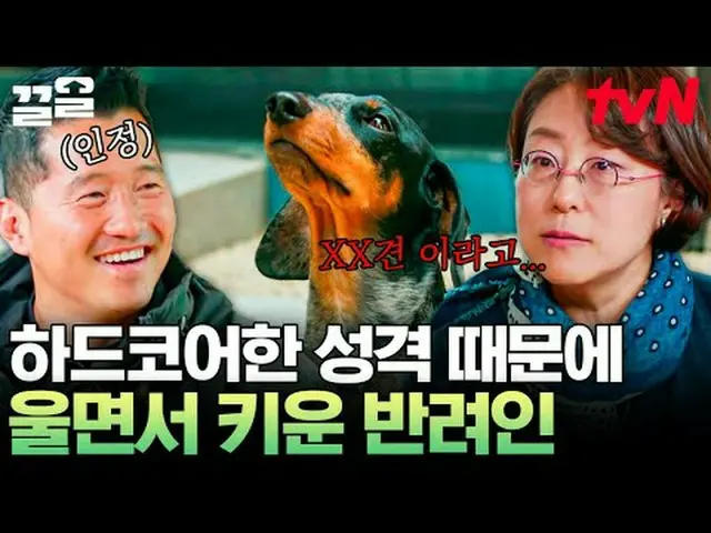 テレビでストリーミング: #tvN #孤独な訓練士tvN レジェンドバラエティ引き上げ～アップ↗↗ #テレビでストリーミング