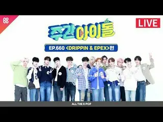 週刊アイドルに咲く青春特集🌸青春を歌うDRIPPIN_ _ と青春のiKON_  EPEXの週刊アイドル！ 2024年4月24日(水)午後6時20分 週刊アイ