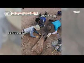 テレビでストリーミング: 151回|地球上最強の支配者、化石で解く恐竜の秘密〈裸の世界史〉 [火]夜10:10 tvN放送 #裸の世界史 #ウンジウォン(Sec