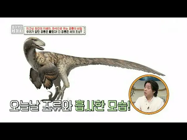 テレビでストリーミング: 151回|地球上最強の支配者、化石で解く恐竜の秘密〈裸の世界史〉 [火]夜10:10 tvN放送 #裸の世界史 #ウンジウォン(Sec