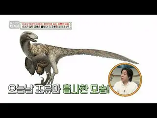 テレビでストリーミング: 151回|地球上最強の支配者、化石で解く恐竜の秘密〈裸の世界史〉 [火]夜10:10 tvN放送 #裸の世界史 #ウンジウォン(Sec