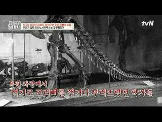 テレビでストリーミング:

 151回|地球上最強の支配者、化石で解く恐竜の秘密

〈裸の世界史〉
 [火]夜10:10 tvN放送

 #裸の世界史 #ウンジ