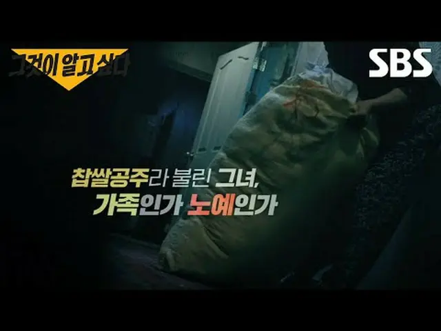 #SBS教育 #それが知りたい #UnansweredQuestions  #予告 #それが知りたい予告SBS「それが知りたい」 ☞[土]夜11時10分Copy