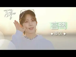 フイ - びっくり(Hmm BOP)|ピクニックライブピクニック| 2024.05.31.フイさんの最初のソロアルバムのタイトル曲「びっくり」ピクニックライブ＜