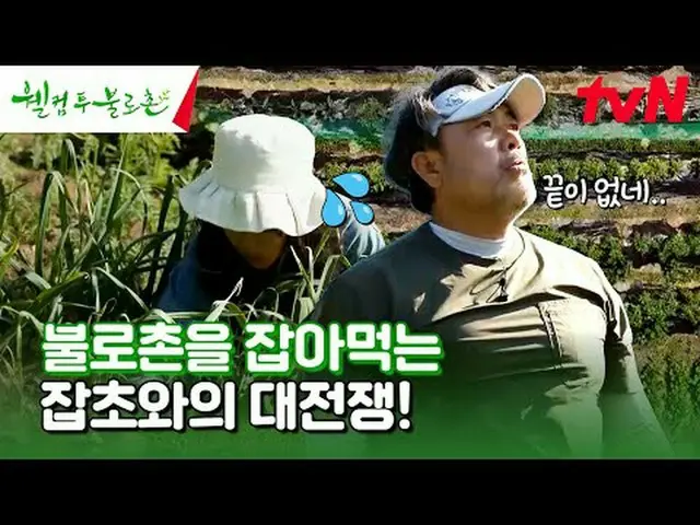 テレビでストリーミング:  #ウェルカムトゥブロチョン #イウォンジョン #ファンソクジョンウェルカムツブロチョンEP.21無病長寿と不老長生の夢が現実になると