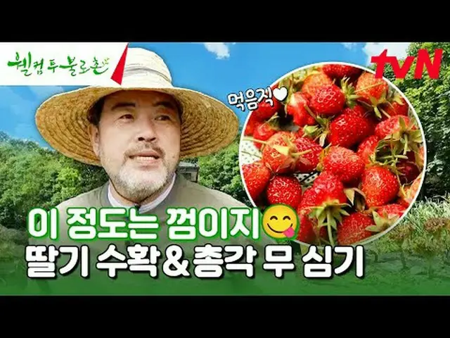 テレビでストリーミング:  #ウェルカムトゥブロチョン #イウォンジョン #ファンソクジョンウェルカムツブロチョンEP.24無病長寿と不老長生の夢が現実になると
