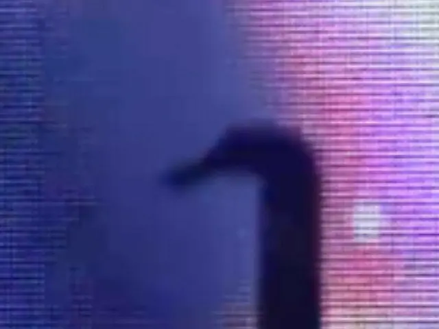 RED VELVET、舞台の「白鳥」が話題