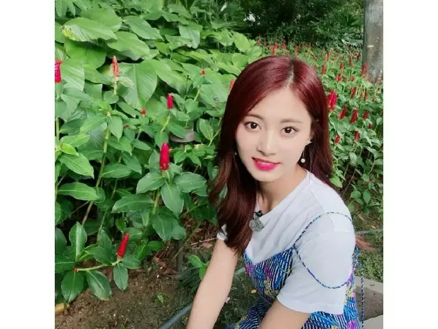 TWICE、SNS更新