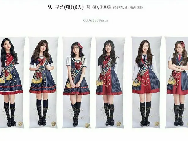 韓国で「論争の的」になっているGFRIEND のコンサート販売グッズ「クッション(大)」