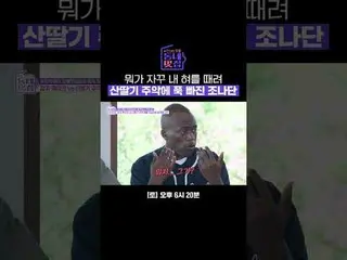何が私の舌を殴ります！サンタリックの呪いにふさわしいナタン #ユ・ジョンス #ハン・ヘジン(女優)_  #ジョナサン #ヒョンジュン #SBSトヨタ芸能SBS「