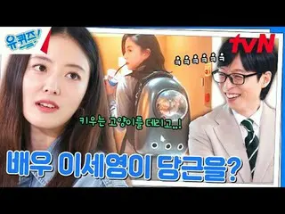テレビでストリーミング: #ユクイズ #ユ・ジェソク_  #チョ・セホユキスオンダーブロック YOU QUIZ ON THE BLOCK EP.262 #私が_