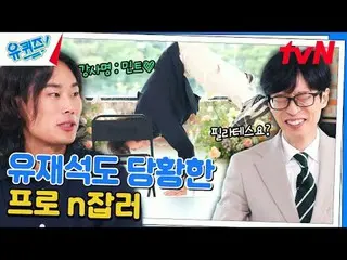 テレビでストリーミング: #ユクイズ #ユ・ジェソク_  #チョ・セホユキスオンダーブロック YOU QUIZ ON THE BLOCK EP.263  #成長