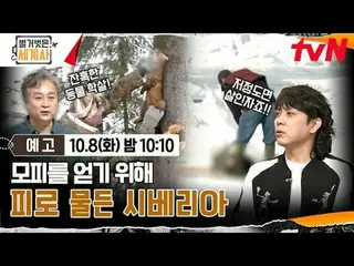 テレビでストリーミング: ＜裸の世界史＞ [火]夜10:10 tvN放送 #裸の世界史 #ウンジウォン(Sechs Kies)_  #キュヒョン #イ・ヘソン#
