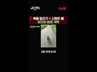 티빙에서 스트리밍 :  #三食ごはん Light #チャ・スンウォン_  #ユ・ヘジン_ 10년째 같이 밥 먹는 사이! チャ・スンウォン_  x ユ・ヘジ