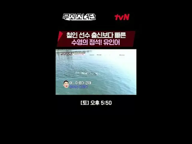 テレビでストリーミング:血、汗、涙鉄の3種挑戦機tvN〈鋳鉄少女団〉 ✔[土]午後5:50 tvN #テレビでストリーミング