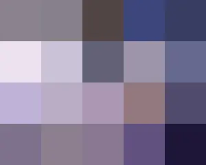 映像の編集・再アップロードを禁止します