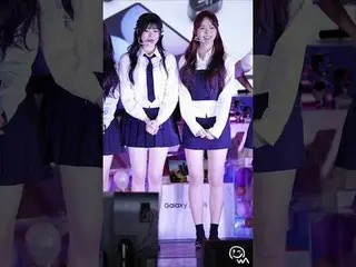 #FIFTYFIFTY #アテナ #ハナ #直カム #Fancam 241105高麗大学ミンジュスクエアギャラクシーAIキャンパスツアーライブ