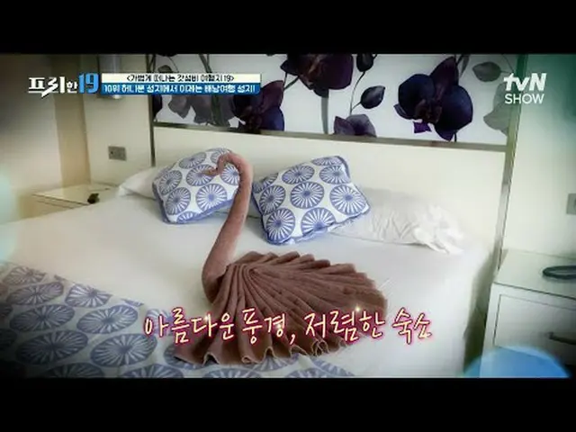 テレビでストリーミング: #チョン・ヒョンム_  #オ・サンジン #ハン・ソクジュンフリー19 free19 EP.442専務後無限スクープランキング毎週(月)