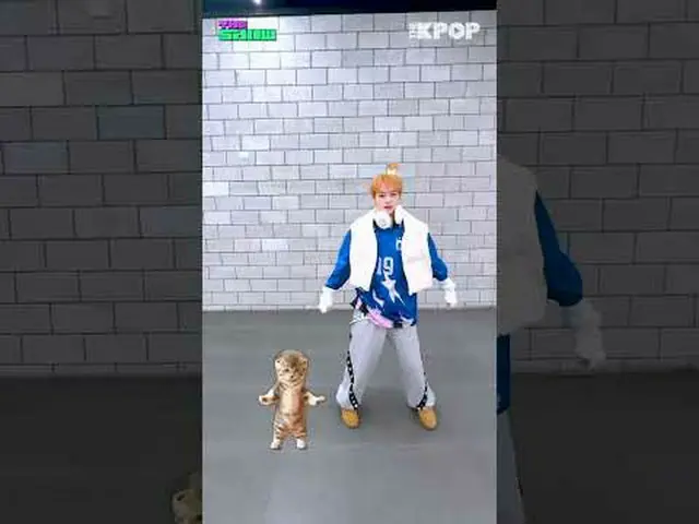 #THE SHOW #シャーディング #シャッディングチャンネルに参加して特典をお楽しみください