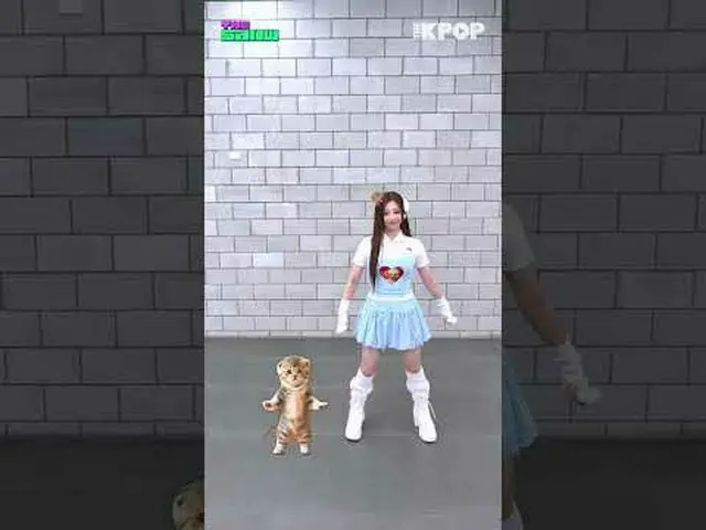 #THE SHOW #シャーディング #シャッディングチャンネルに参加して特典をお楽しみください