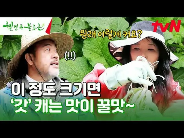 テレビでストリーミング:  #ウェルカムトゥブロチョン #イウォンジョン #ファンソクジョンウェルカムツブロチョンEP.42無病長寿と不老長生の夢が現実になると