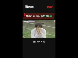 テレビでストリーミング: tvN NEWバラエティ日曜日にはハンサムガイド！ [ハンサムガイド]毎週[日]夕方7:40 tvN #ハンサムガイズ#チャ・テヒョン