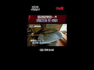 テレビでストリーミング:  #フィンランドセットの放殺が #イ・ジェフン_  #イ・ドンフィ_  #クァク・ドンヨン_フィンランドのセット放殺EP.1電気も首都