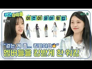 ▶＜週刊アイドル＞進取的な少女たちの緊張感満載のお知らせ？！ ▶＜ 週刊アイドル ＞ 新人の必須条件！ ▶＜週刊アイドル＞ここがHOLLYWOOD？ ▶＜週刊ア