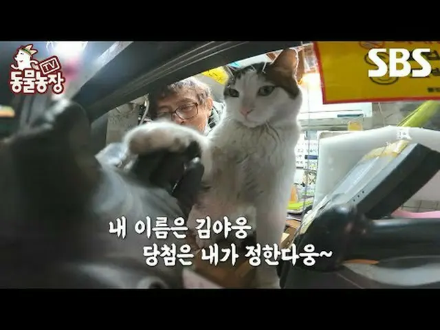 #シン・ドンヨプ #チョン・ソニ(チョン・ソンヒ)_  #トニー・アン(HOT)_  #ジョイ#TV動物農場 #AnimalFarm #予告SBS「テレビ動物農