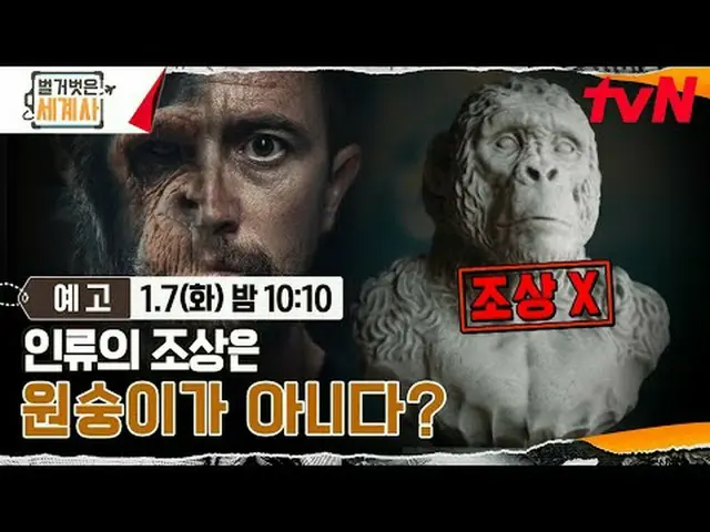 テレビでストリーミング: ＜裸の世界史＞ [火]夜10:10 tvN放送 #裸の世界史 #ウンジウォン(Sechs Kies)_  #キュヒョン #イ・ヘソン#