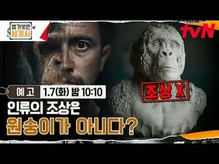 テレビでストリーミング: ＜裸の世界史＞ [火]夜10:10 tvN放送 #裸の世界史 #ウンジウォン(Sechs Kies)_  #キュヒョン #イ・ヘソン#