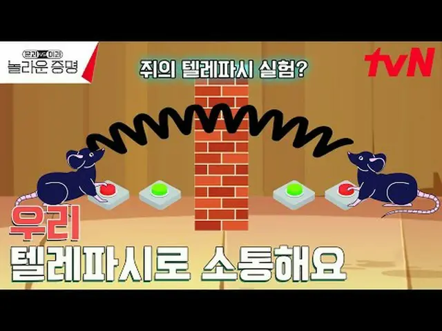 テレビでストリーミング:  #驚くべき証明 #ホン・ジンギョン #ドギョンワン #キム・サンウク #トラックドアと対理科、信じられないほどの証明EP.13 K-