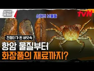 テレビでストリーミング: 183回|海底2万里！深い海の中はなぜ戦場になったのですか？ 〈裸の世界史〉 [火]夜10:10 tvN放送 #裸の世界史 #ウンジウ