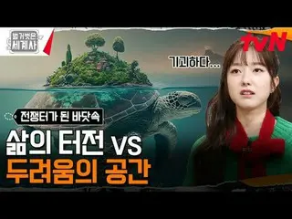 テレビでストリーミング: 183回|海底2万里！深海はなぜ戦場になったのか？ 〈裸の世界史〉 [火]夜10:10 tvN放送 #裸の世界史 #ウンジウォン(Se