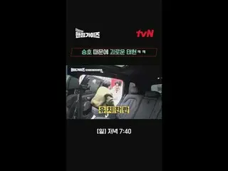 テレビでストリーミング: tvN NEWバラエティ日曜日にはハンサムガイド！ [ハンサムガイド]毎週[日]夕方7:40 tvN #ハンサムガイズ#チャ・テヒョン