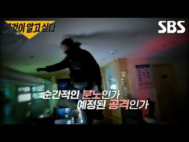 #SBSプレビュー #SBS教育 #それが知りたい#UnansweredQuestions #グアル #グアル予告SBS「それが知りたい」 ☞[土]夜11時10