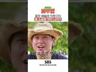 蜂蜜の幼虫の直火焼きなぜ小平の味がするのですか？ #リュ・スヨン_  #チェ・ヒョンソク #キム・オクビン_  #チェ・ダニエル #ユン・ナムノ #イ・ジュン 