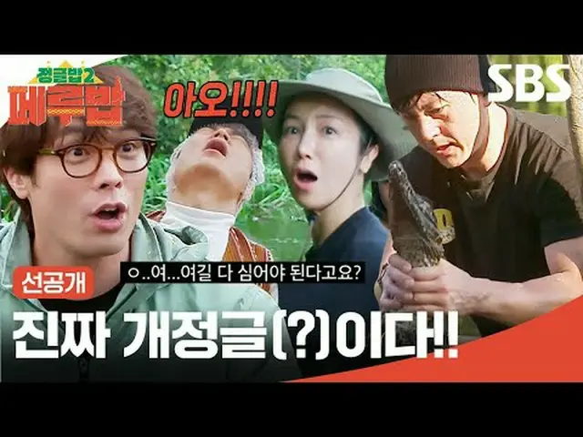 本物の改訂文(？)だ！  #SBS新芸能 #ジャングルボブ2 #TheJungleBoB2 #ジャングルボブ2ペルーバブ #ペルーバブ #先行公開#リュ・スヨン