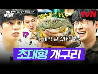テレビでストリーミング: #tvN #日曜日エンハンサムガイドYouTubeで素早く見るホットな映像！  #2時間ホットクリップ大韓の息子ハンサムズと一緒に走る