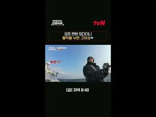 テレビでストリーミング:料理の情熱の根を見つけるために韓国の田舎を見つけたシェフエドワードリーピョン・ヨハン_  コ・アソン_  シン・シア_ 手の味を求めるシ
